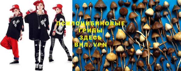 герыч Алексеевка