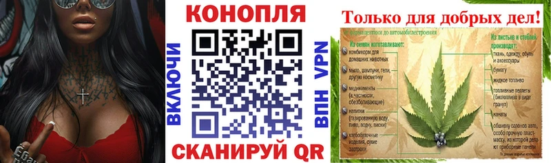 мориарти телеграм  Сим  Шишки марихуана SATIVA & INDICA 